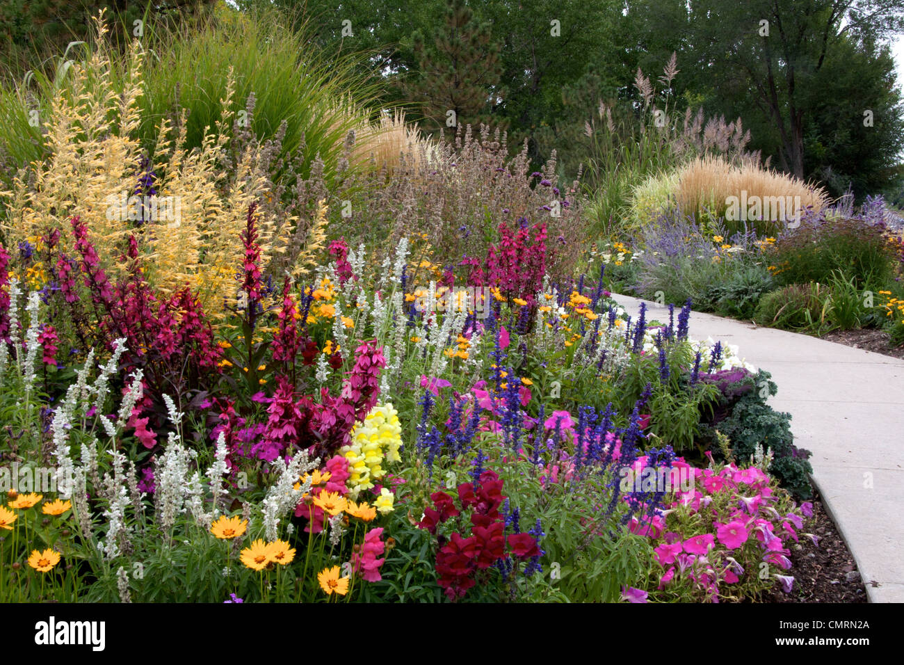 A colorful mixed flower bed Stock Photo