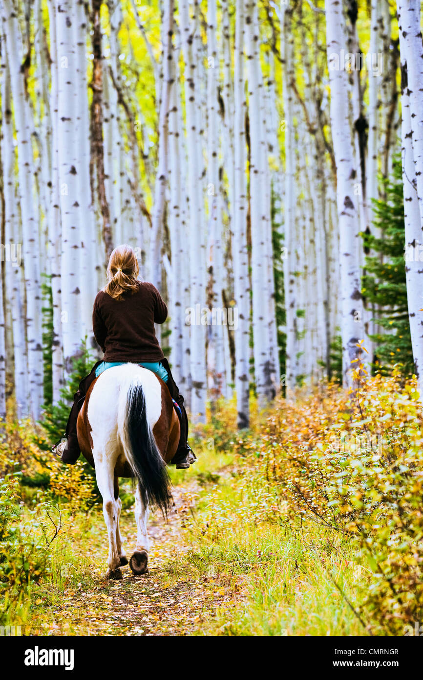 Woman horseback riding in Aspen forest in autumn, Jasper National Park ...