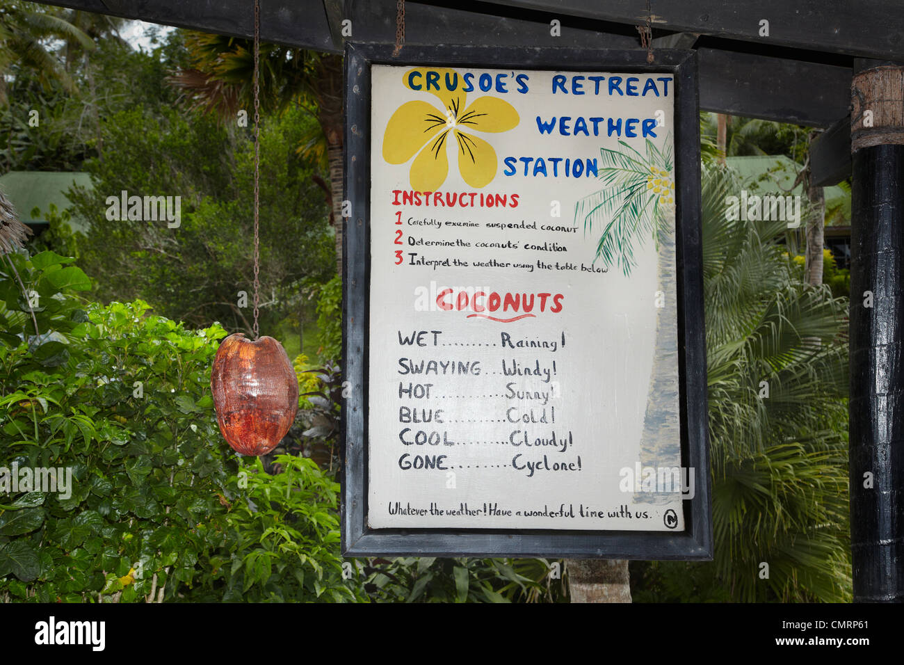 Weather predicting coconut at Crusoe's Retreat, Coral Coast, Viti Levu, Fiji, South Pacific Stock Photo