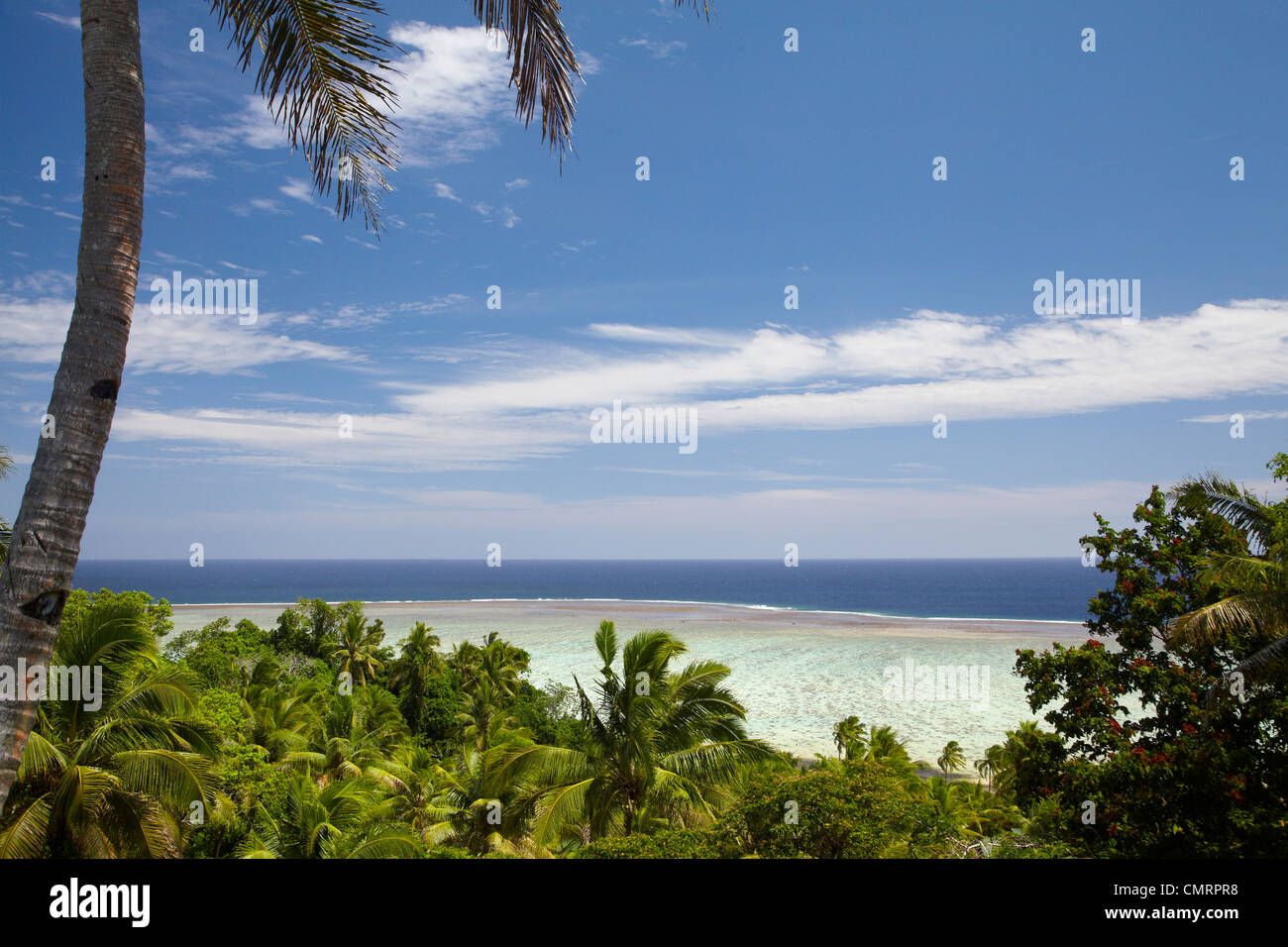 Palm trees and coral reef, Crusoe's Retreat, Coral Coast, Viti Levu, Fiji, South Pacific Stock Photo