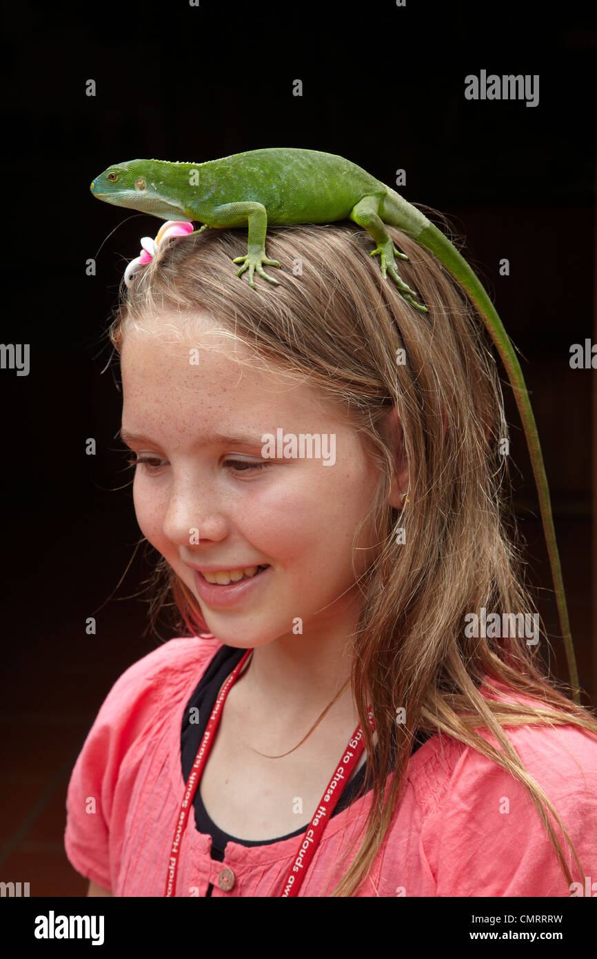 Girl and female Fiji Banded Iguana (Brachylophus fasciatus), Kula Eco Park, Coral Coast, Viti Levu, Fiji, South Pacific Stock Photo