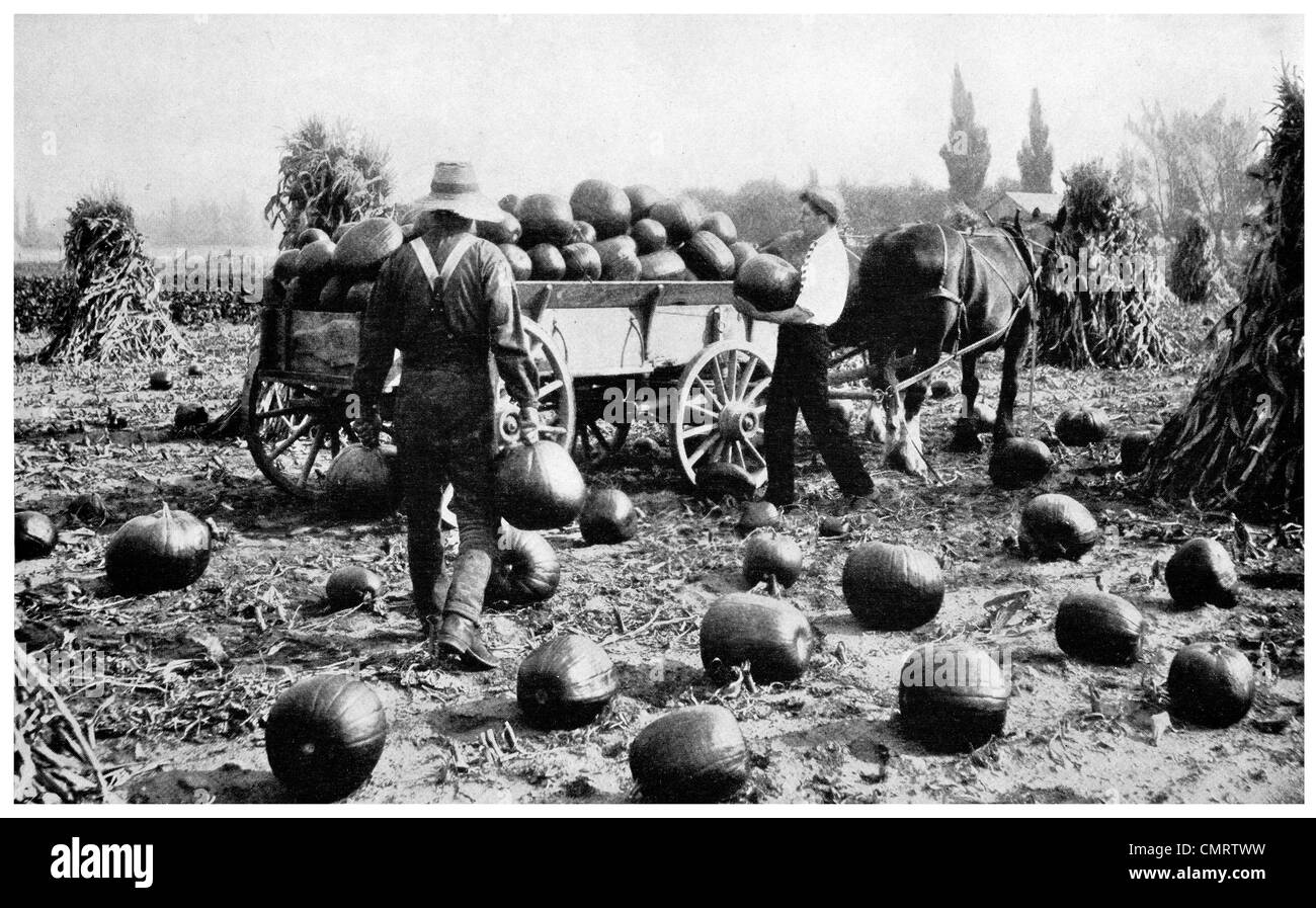 1918 Canada Boy's Pumpkin Club food for the troops Stock Photo