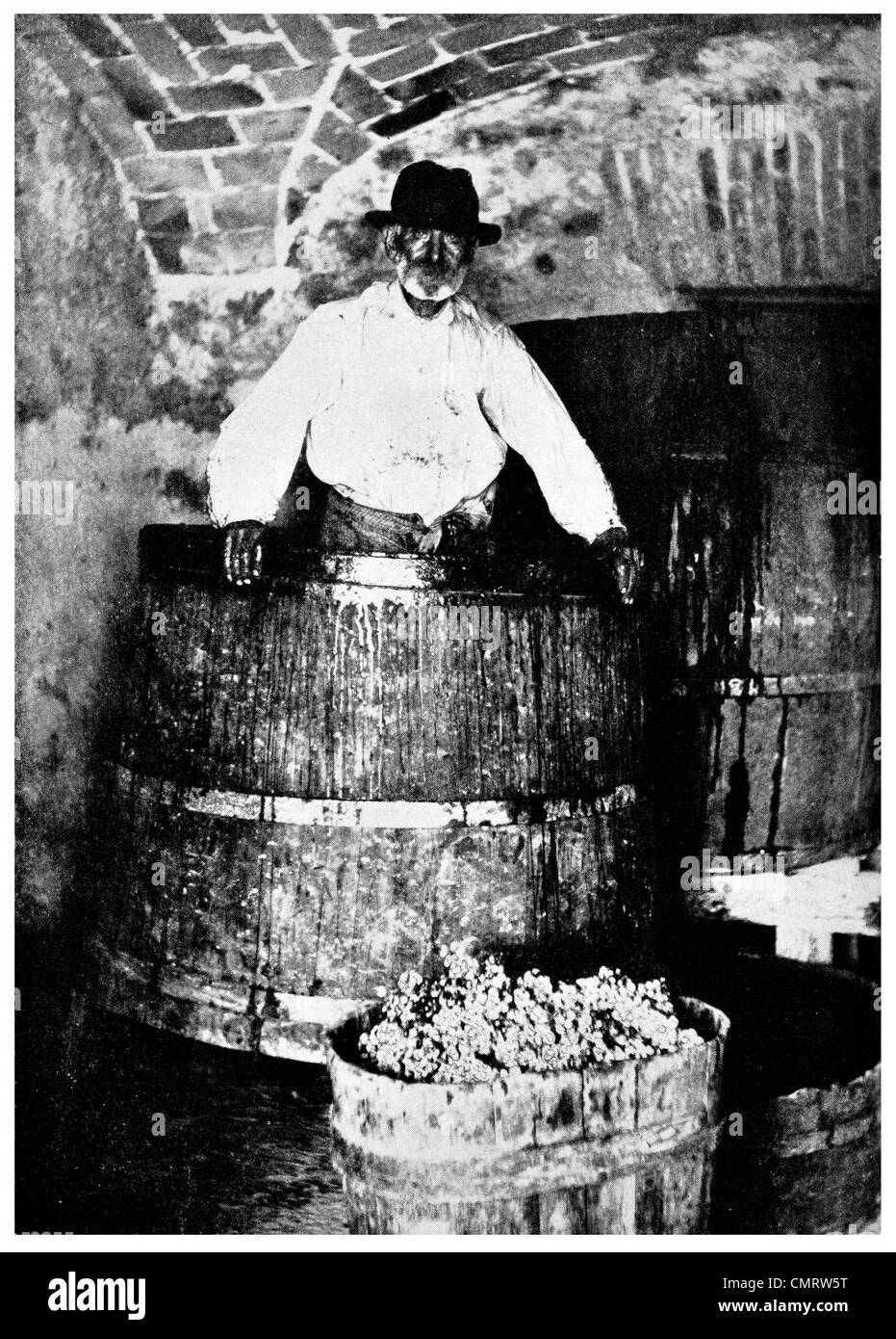 1918 Old man Crushing grapes in giant vats wine of San Marino barrel Stock Photo