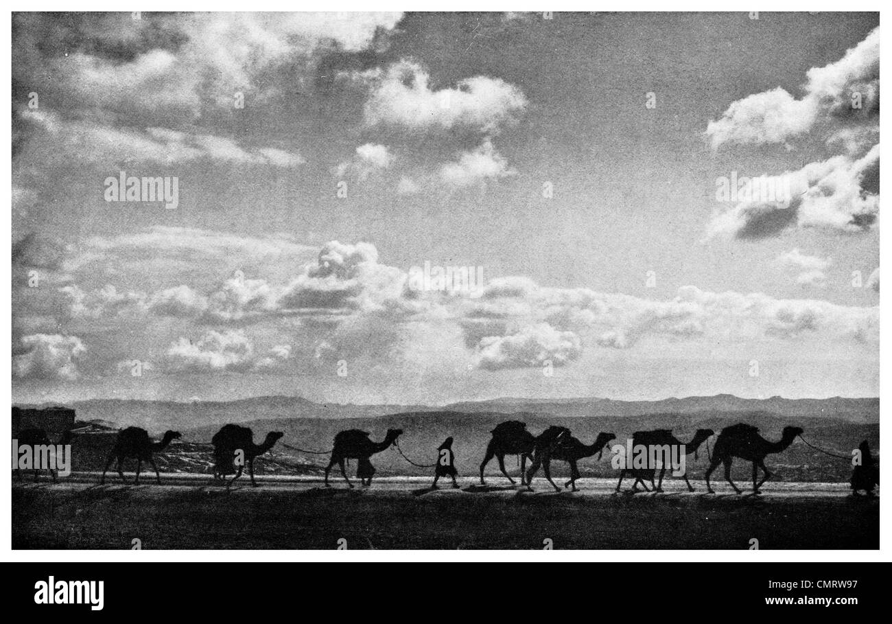 1918 Caravan of British Army Camel Crusaders Sinai Peninsula silhouetted against Sky and Desert sand Stock Photo