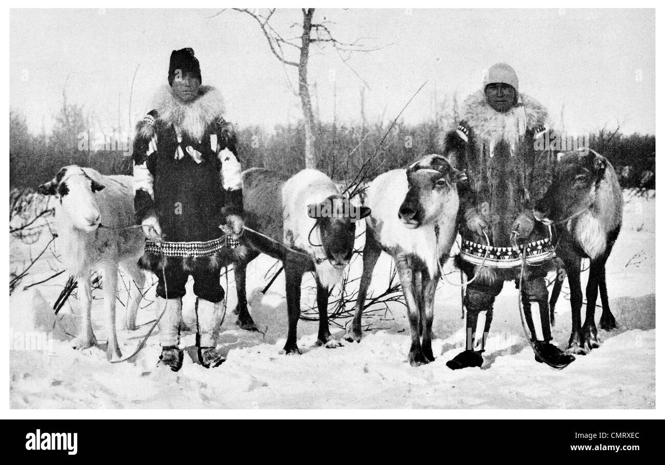 1919 Reindeer sledging Lapland Stock Photo