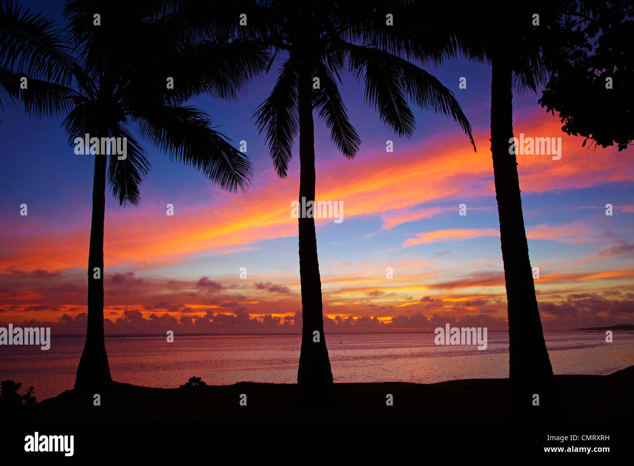 Sunset and palm trees, Coral Coast, Viti Levu, Fiji, South Pacific Stock Photo