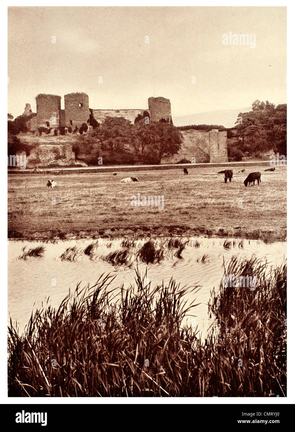 Rhuddlan Castle & Marshes 1898 old antique print picture Flintshire WALES 