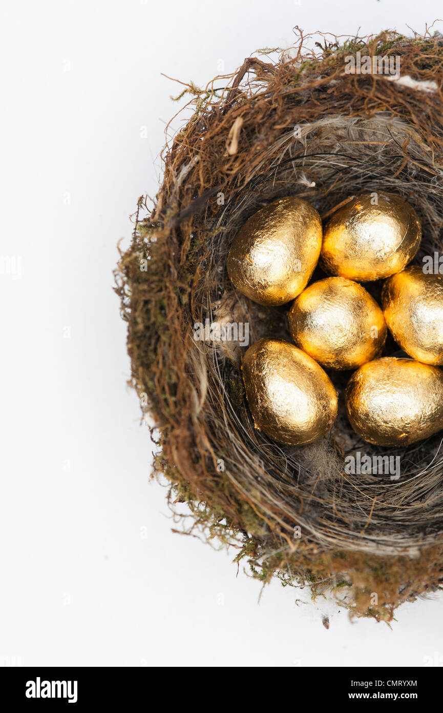 Golden eggs in a birds nest on white background Stock Photo