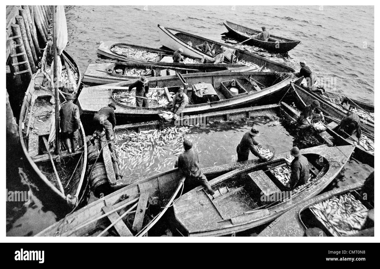 1923 Fishermen unloading Herring at Lockeport Cannery Nova Scotia Stock Photo