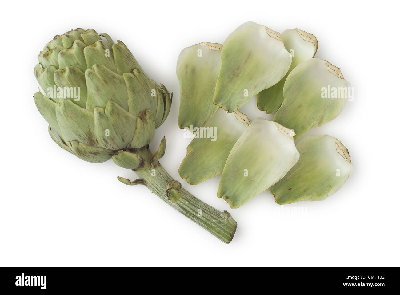 Artichoke hires stock photography and images Alamy