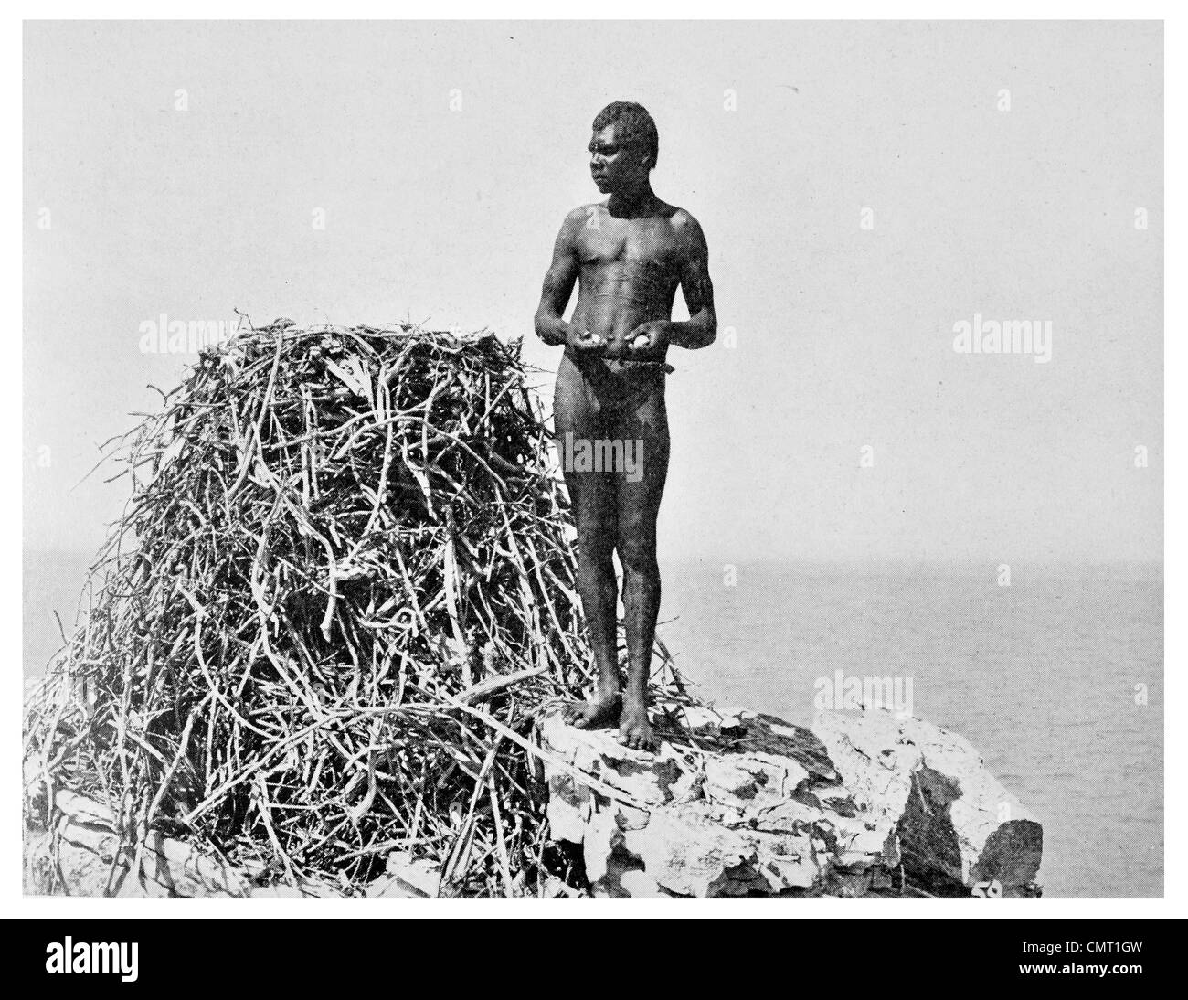 1924 Australian Aboriginal with Sea Hawk eggs large nest Stock Photo
