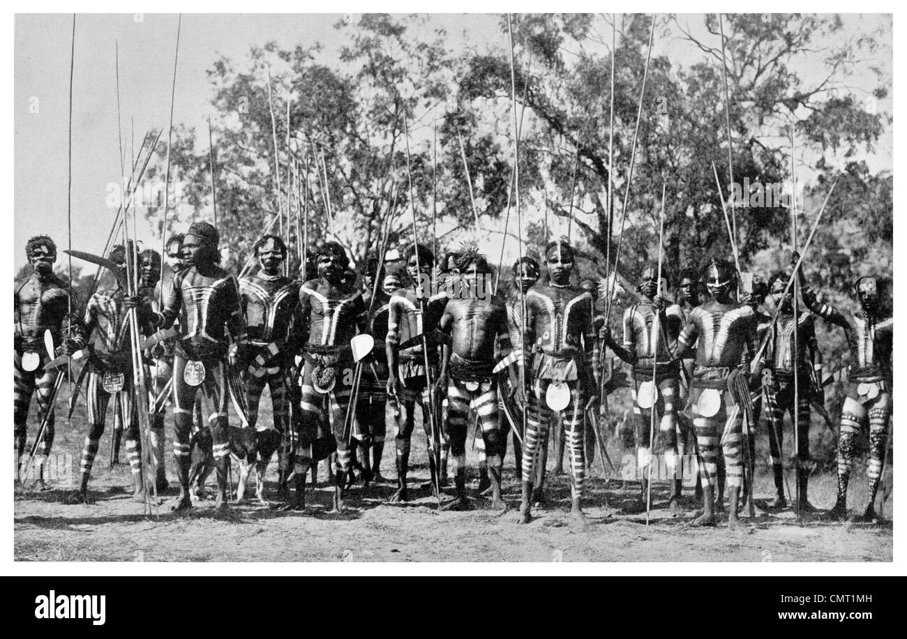 1924 West Australian Aboriginals armed with spears shields amd boomerangs Stock Photo