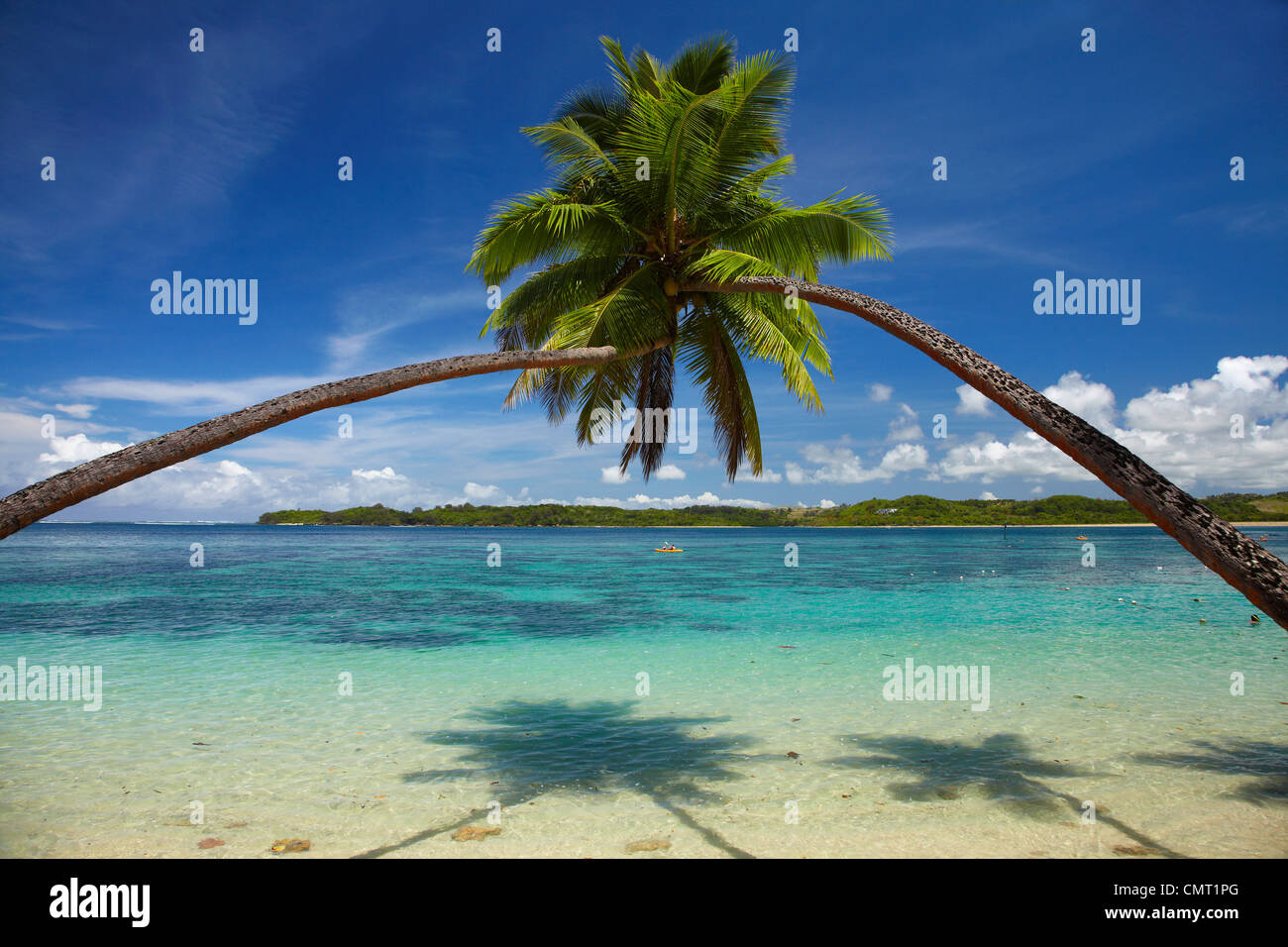 Palm trees, Shangri-La Fijian Resort, Yanuca Island, Coral Coast, Viti Levu, Fiji, South Pacific Stock Photo