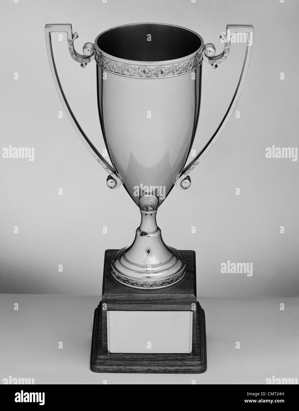 Deluxe Cheeseburger Trophy Cup