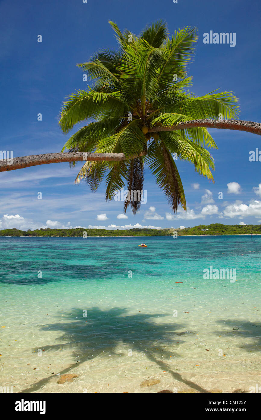Palm trees, Shangri-La Fijian Resort, Yanuca Island, Coral Coast, Viti Levu, Fiji, South Pacific Stock Photo