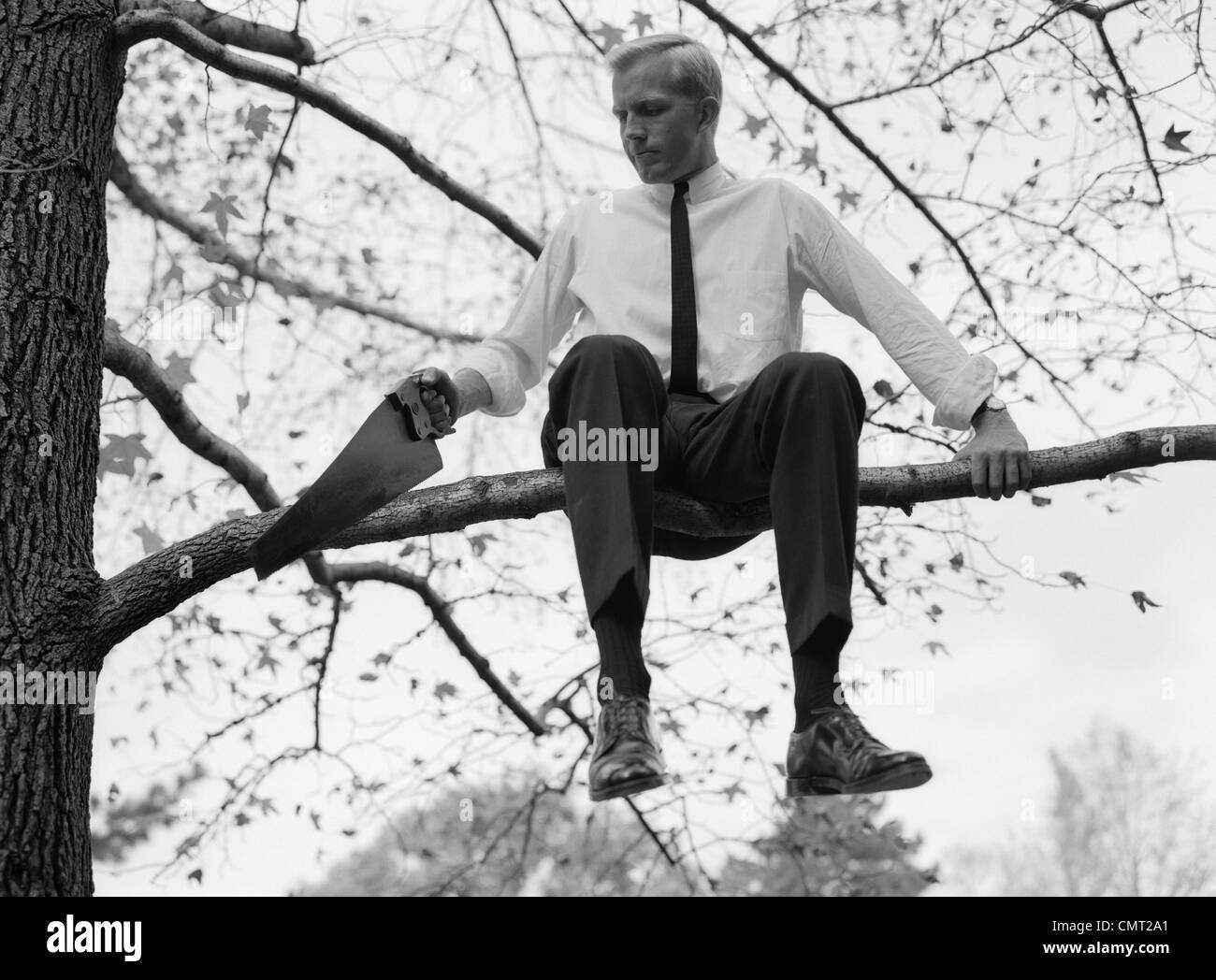 1960s BUSINESSMAN IN SHIRT AND TIE SITTING ON AND SAWING OFF TREE LIMB Stock Photo