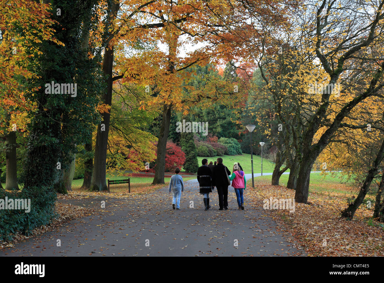 Dortmund Rombergpark Stock Photos Dortmund Rombergpark Stock