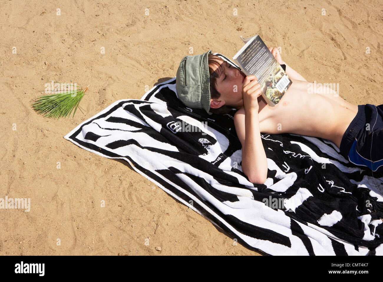 Sleeping With The Enemy Beach Towel by Bo Kev - Pixels