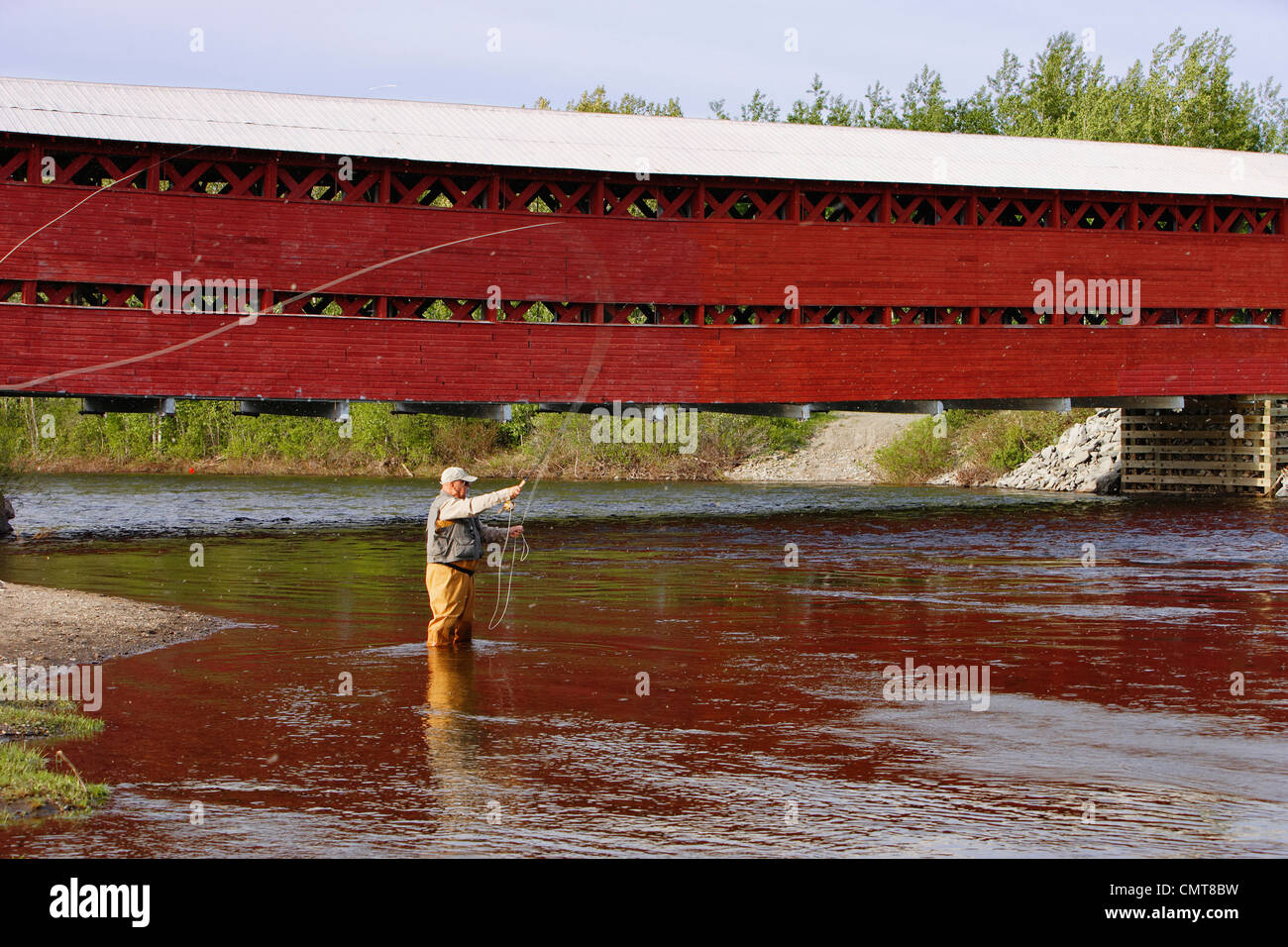 Senior Fly Fishing, Matapedia River, Gaspesie Region Quebec Stock Photo