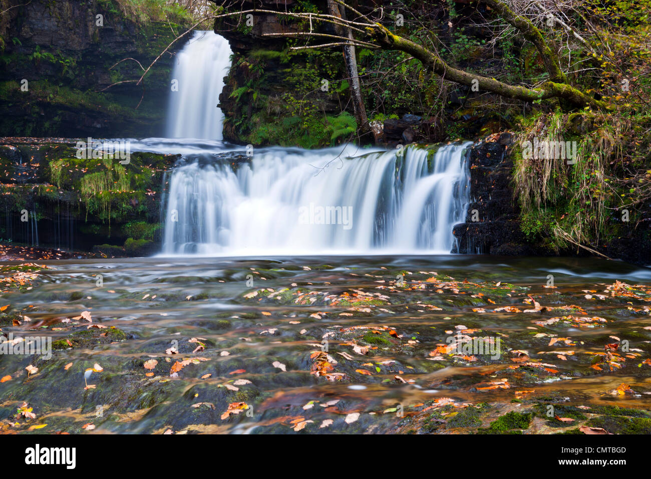 Sgwd Isaf Ddwli, Lower Ddwli Falls on the Afon Nedd Fechan, Brecon Beacons National Park, Powys, Wales, Europe Stock Photo