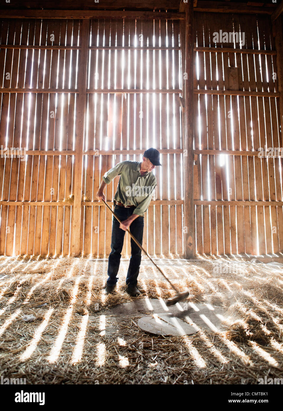 Farmer sweeping in barn Stock Photo