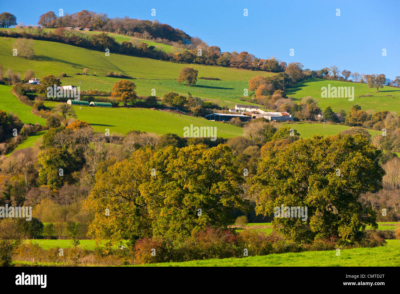 The rolling hills of the Devon countryside Stock Photo