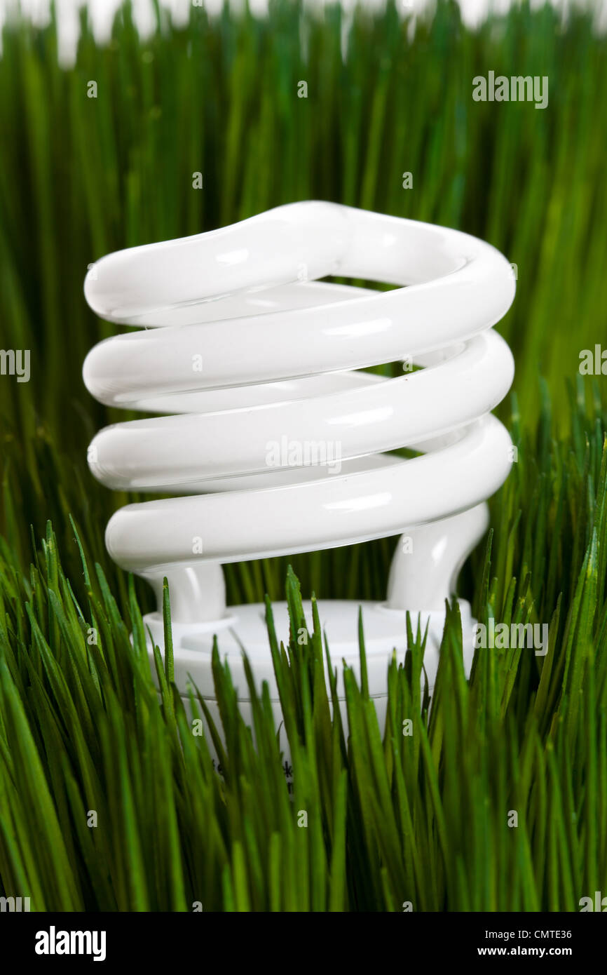Compact Fluorescent Lightbulb and green grass Stock Photo Alamy
