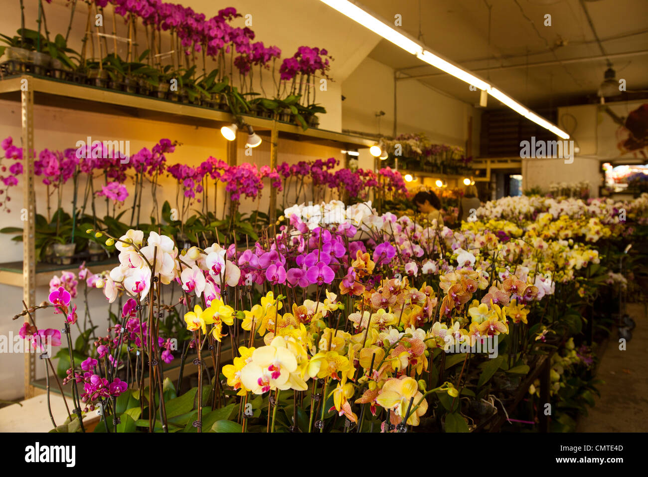 Flower District, Los Angeles, California, USA Stock Photo Alamy