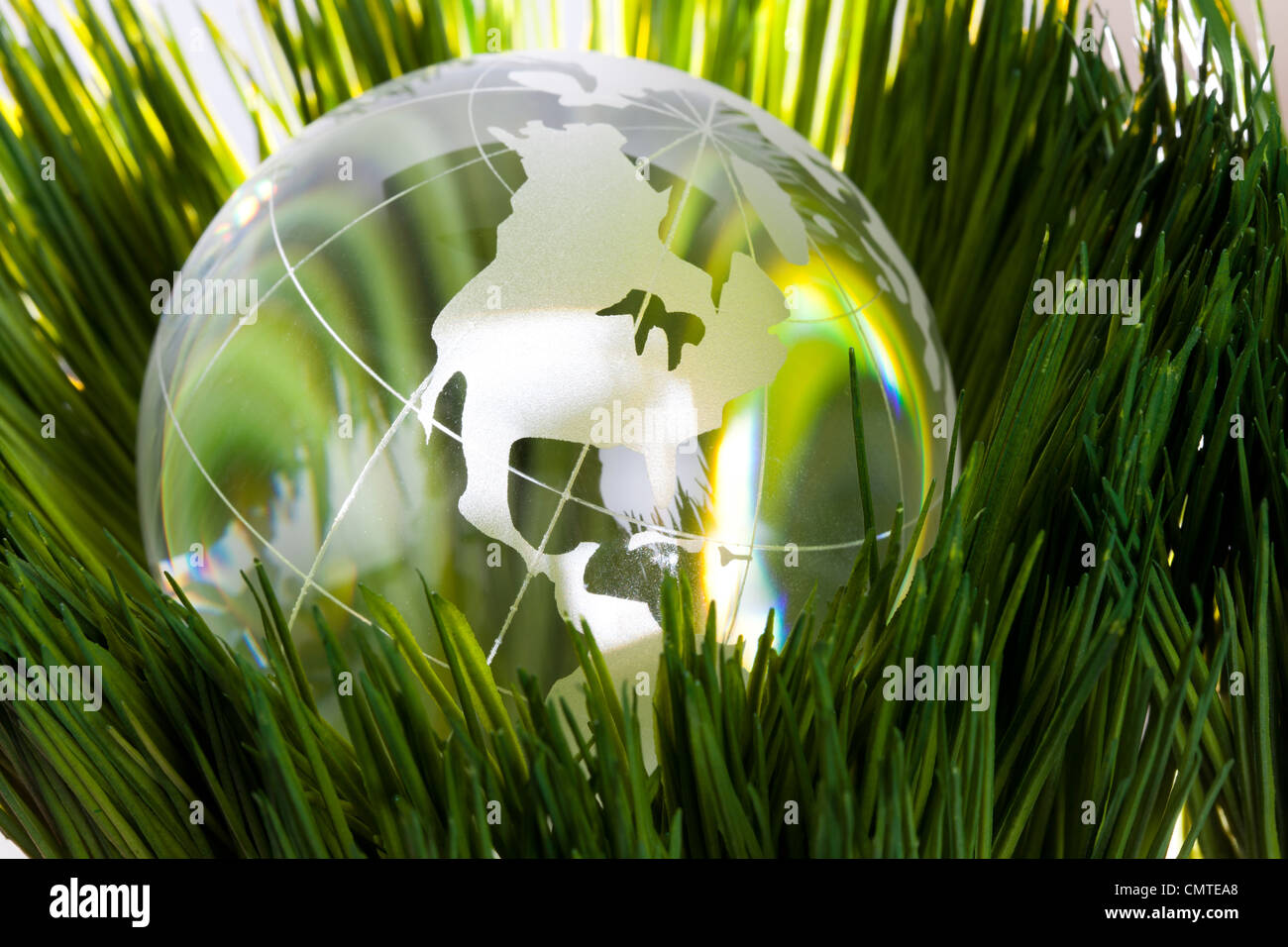 Globe and green grass, concept of Environmental Conservation Stock Photo