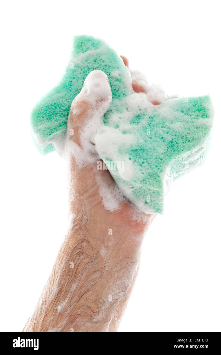 Foam sponge hi-res stock photography and images - Alamy