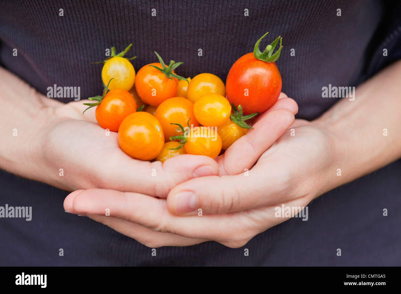 Close-up of handful tomatoes Stock Photo