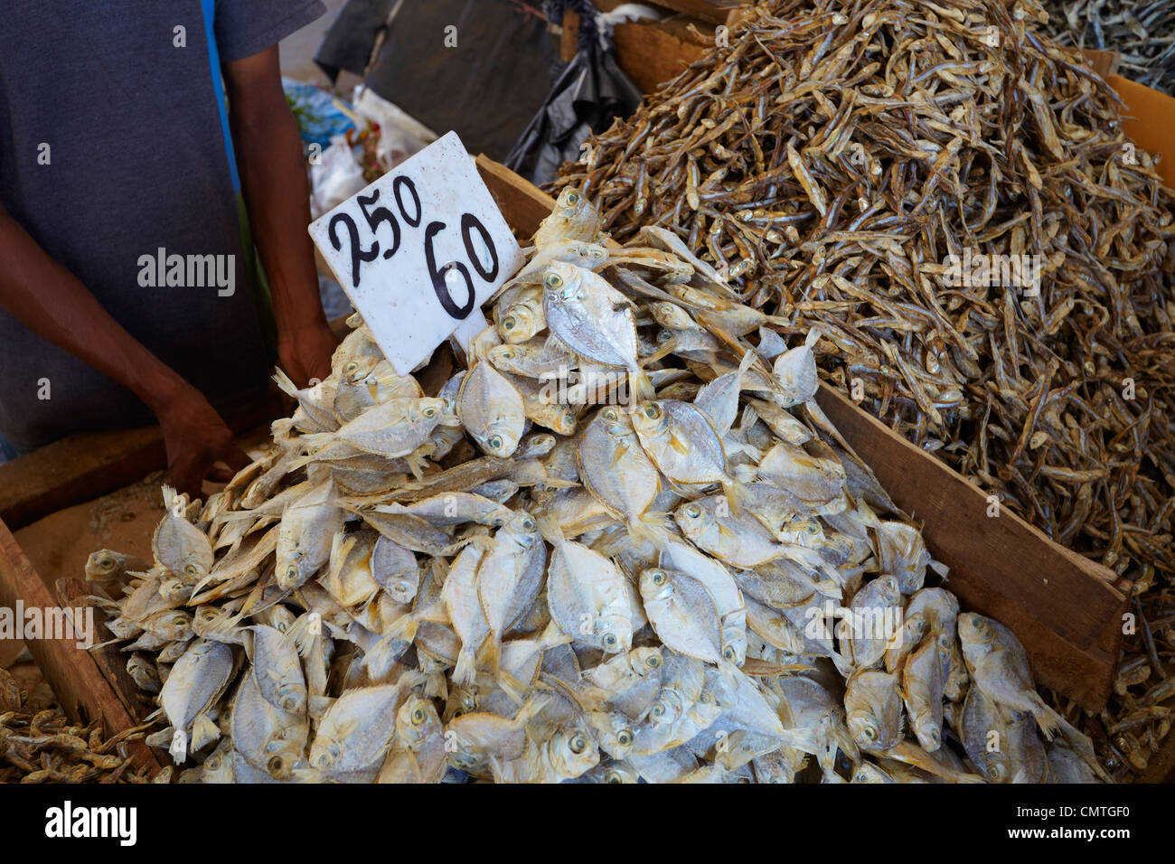 Sri Lanka Colombo, dried and salted fish at the market Stock Photo
