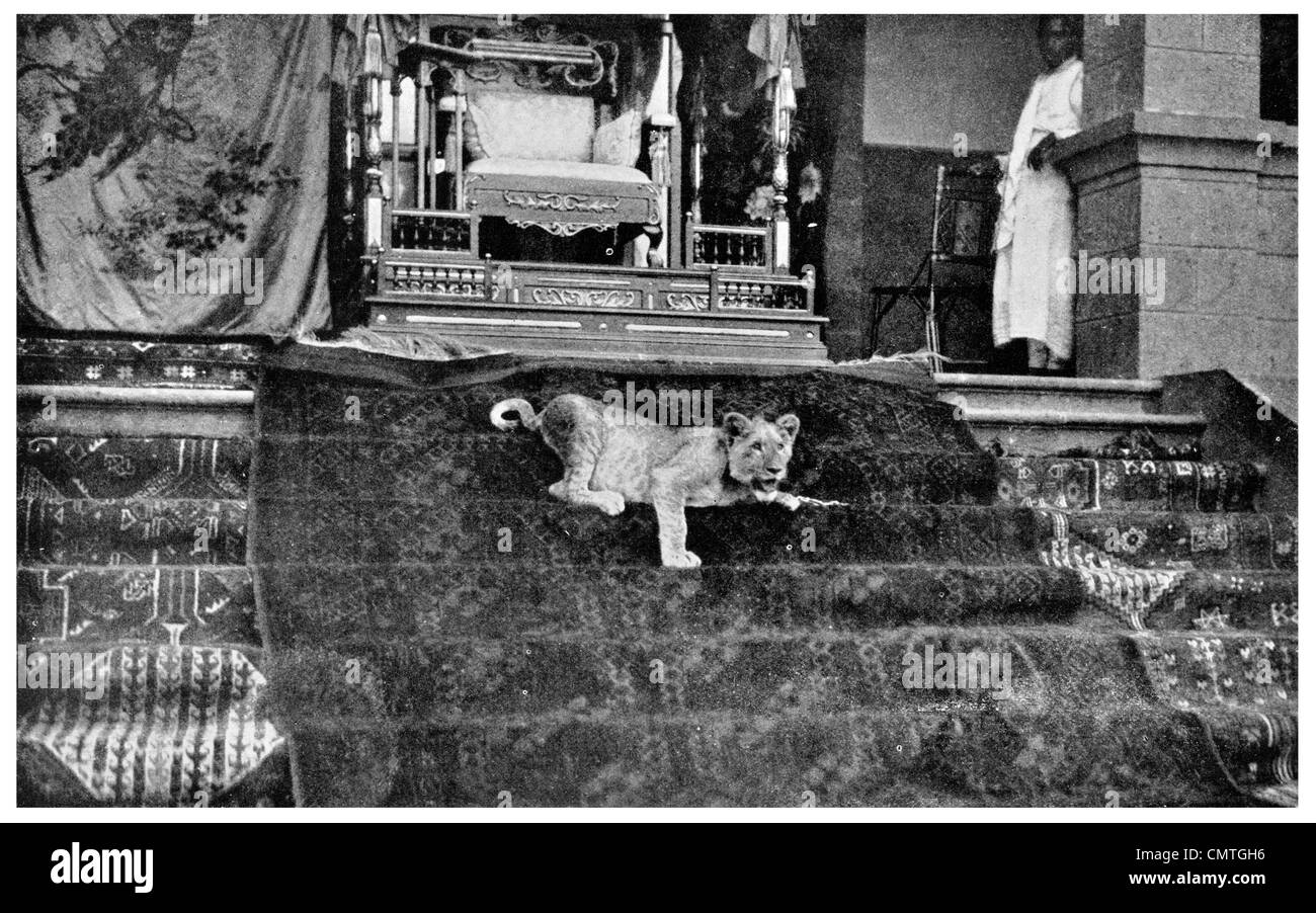 1925 Lion cub playing on the throne of Prince Regent of Abyssinian Ethiopia Stock Photo