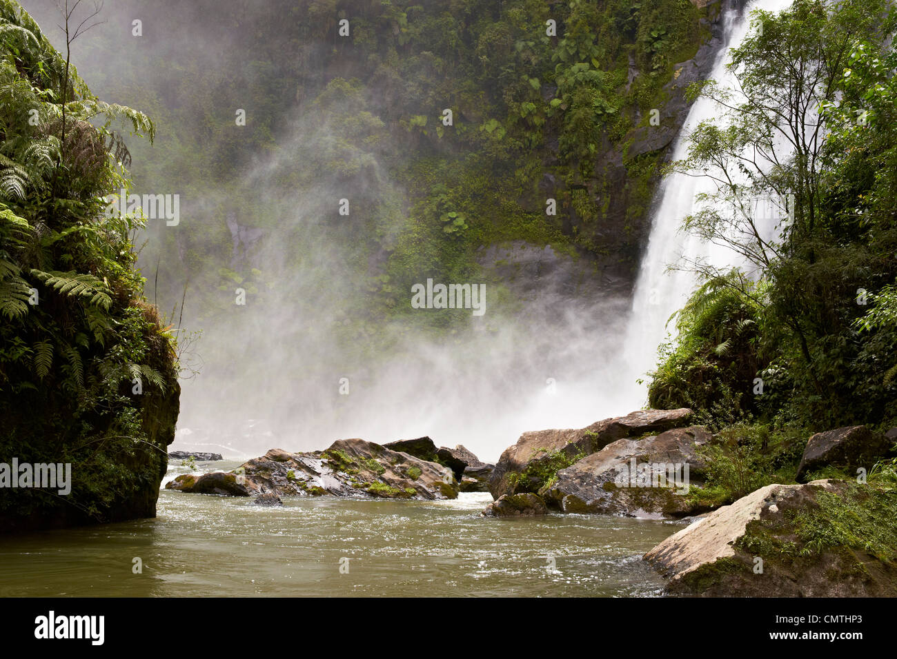 Waterfall in the Atlantic Rainforest Stock Photo