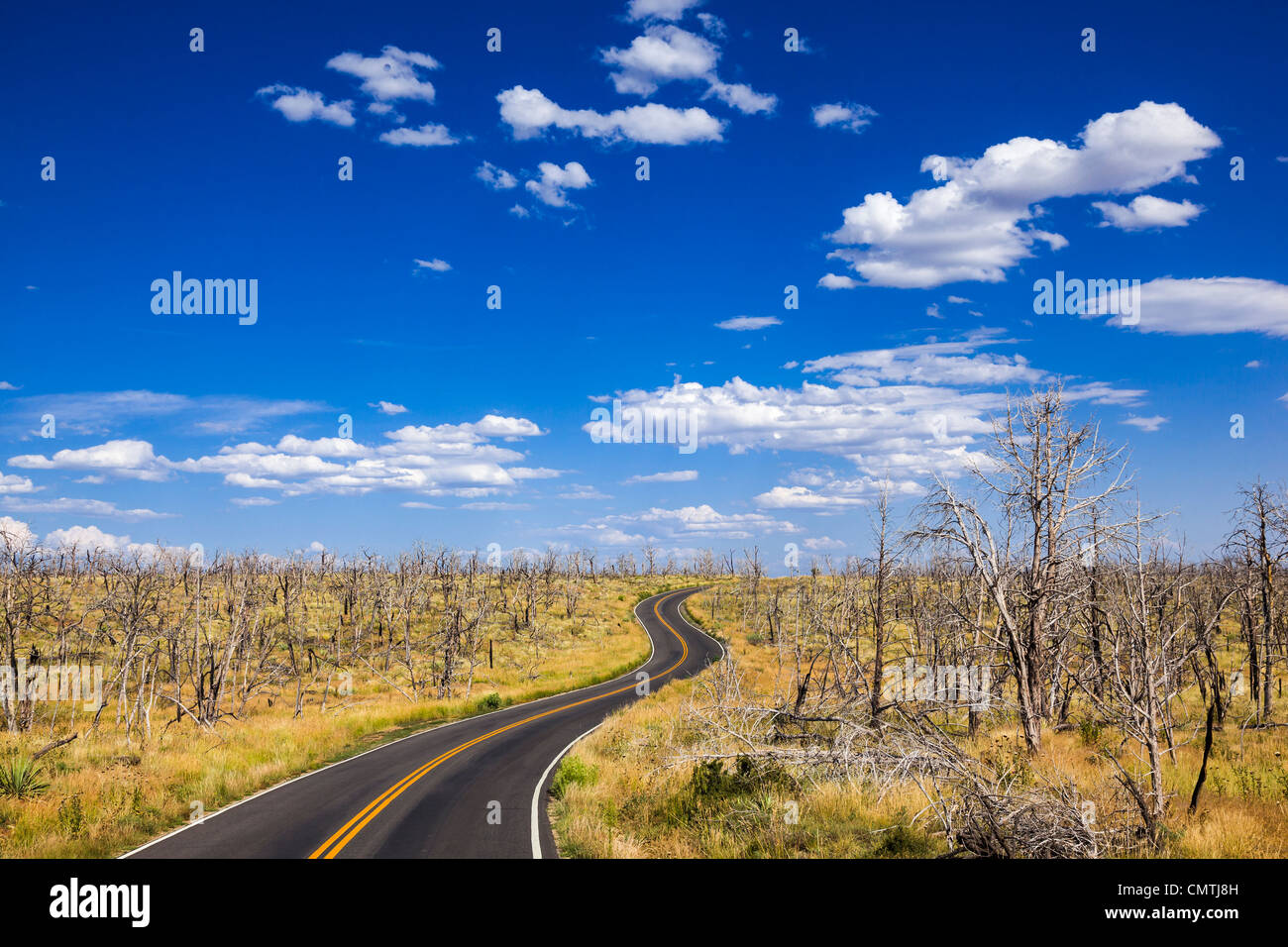 Empty winding road trough a barren landscape Stock Photo