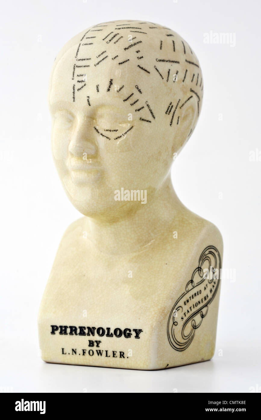 Phrenology bust hi-res stock photography and images - Alamy