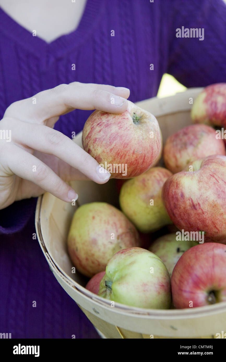 Teenage girl picking apples, Kelowna, British Columbia Stock Photo