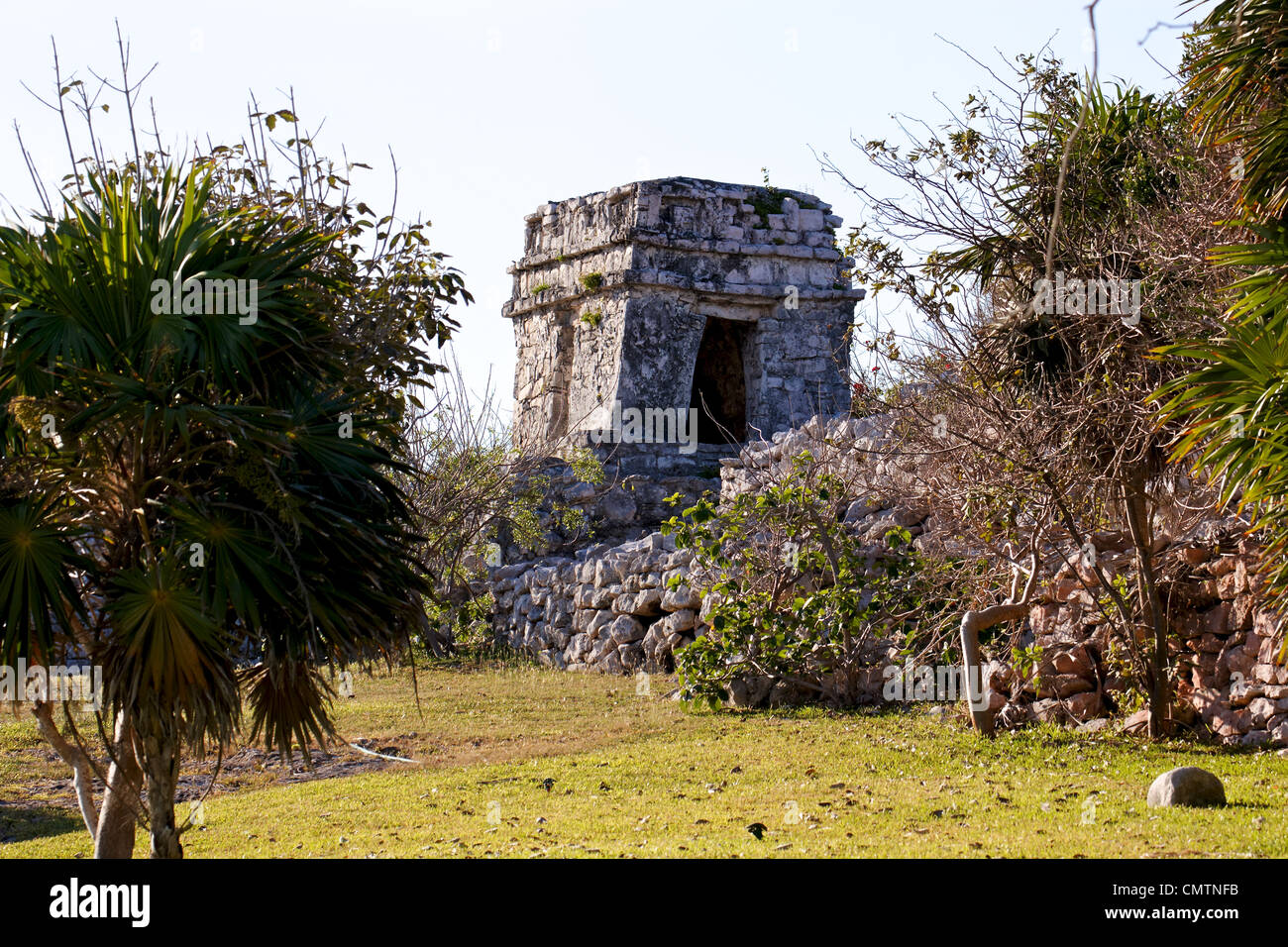 Mayan ruins among the tropical green of the archaeological park at Tulum, Quintana Roo, Mexico. Stock Photo