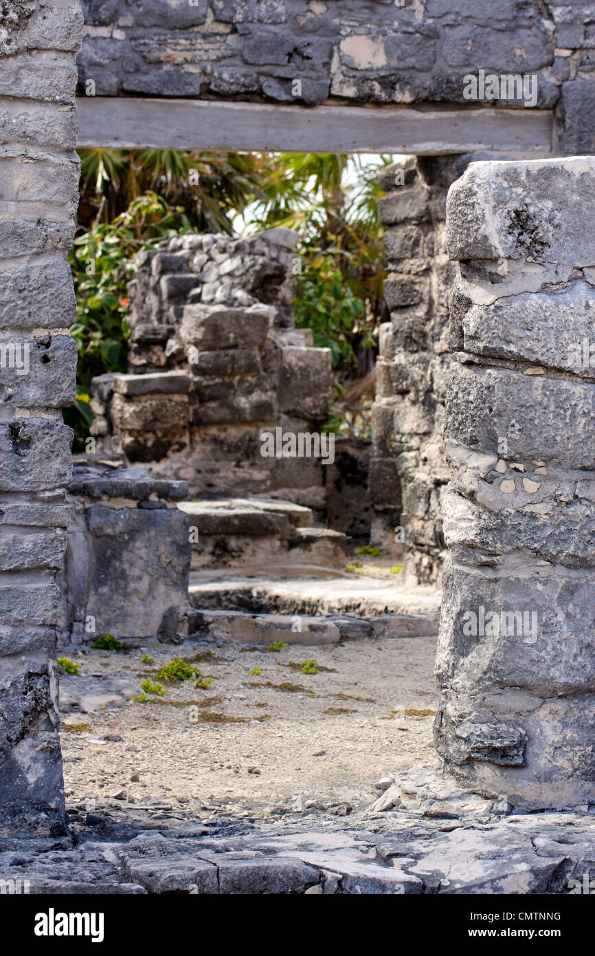 Path leading through Mayan ruins towards the jungle at Tulum, Quintana Roo, Mexico. Stock Photo