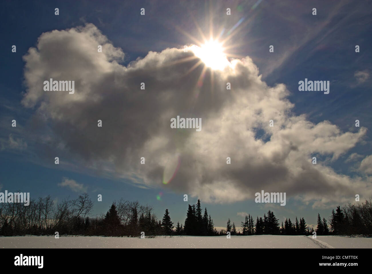 Sun peaking out of dramatic clouds with blue sky, snow and spruce trees. Stock Photo