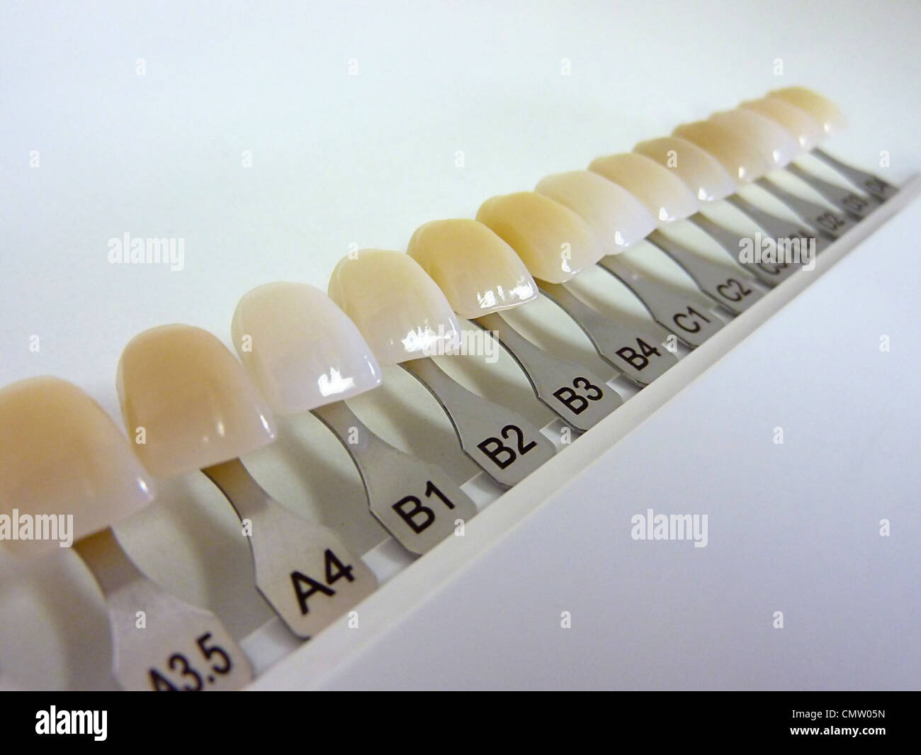 Tooth Shade Chart Printable