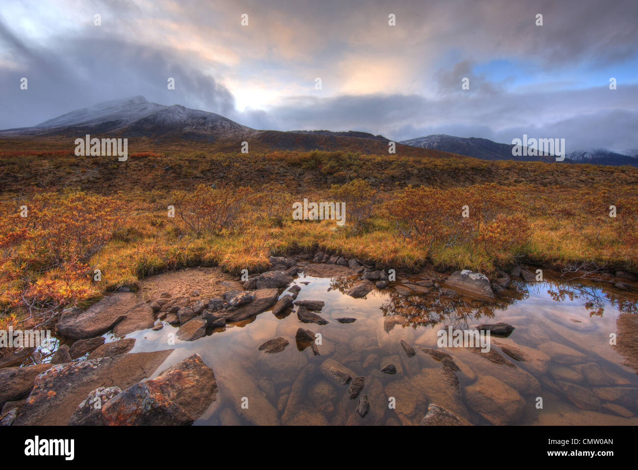 Mount Frank Rae Mt Frank Ray on the shore of Divide Lake in autumn, Tombstone Park ...
