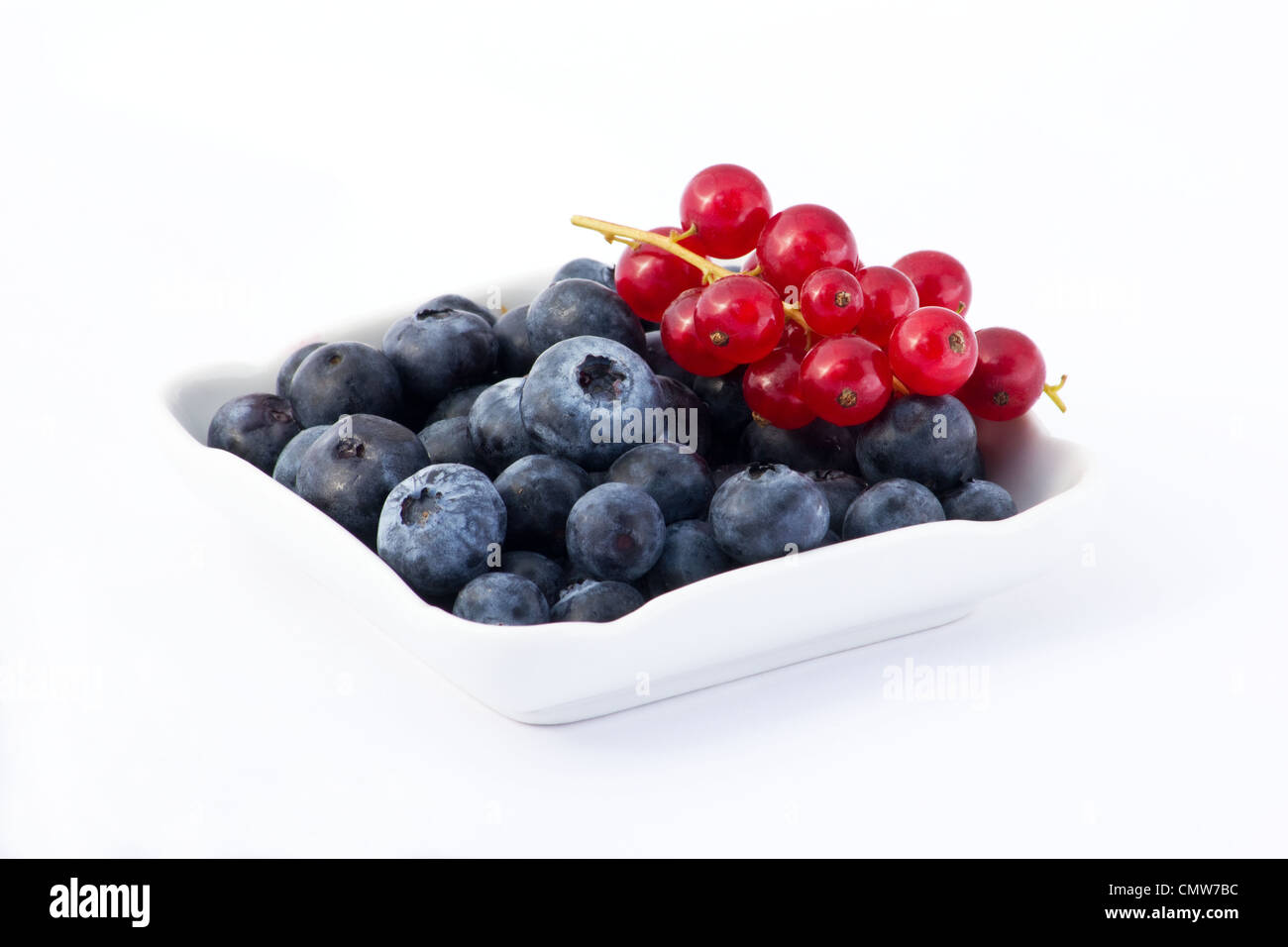 Blueberries and currants in a white dish on white background Stock Photo