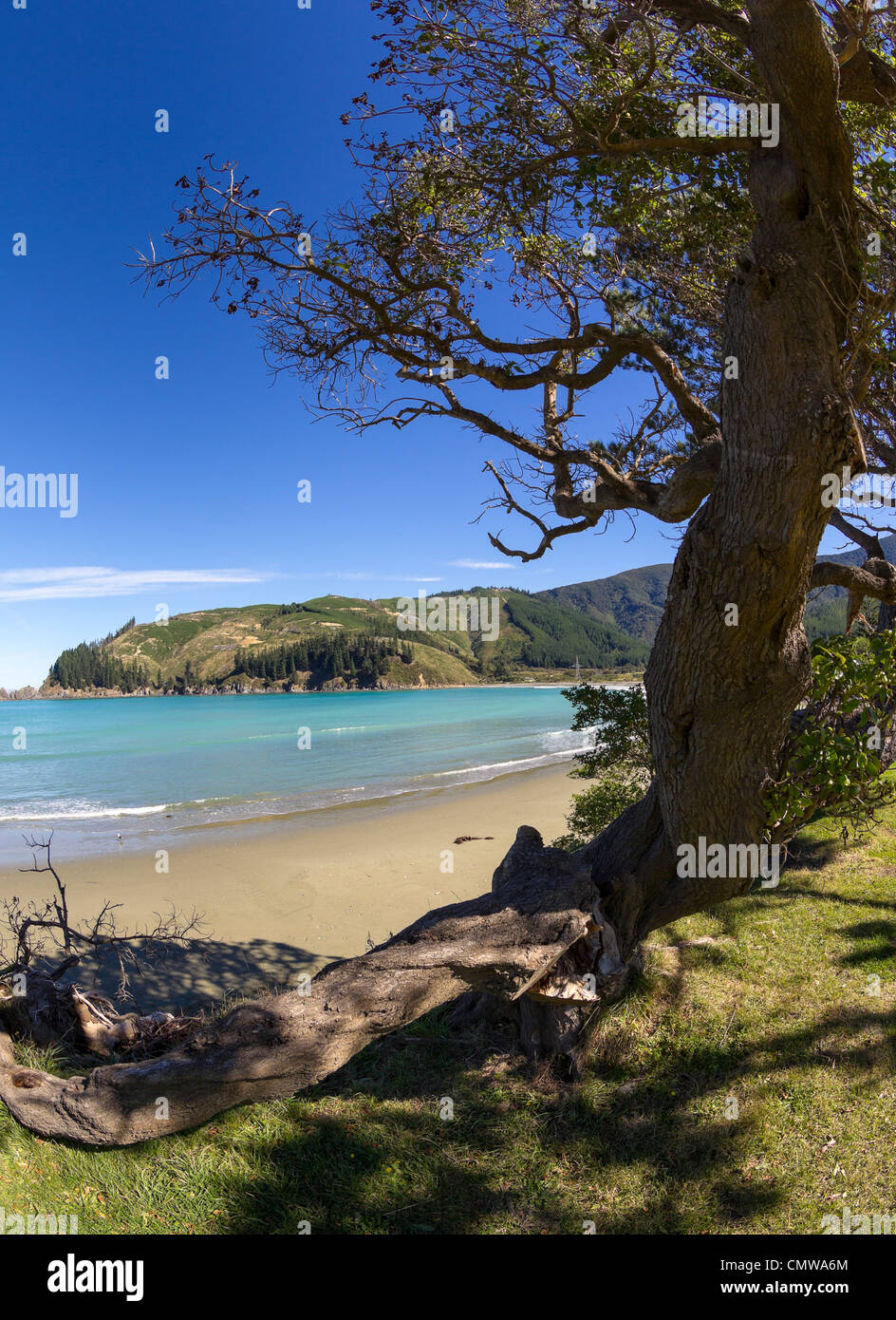 Beach at Robin Hood Bay in the Marlborough district of New Zealand, looking  out towards Cloudy Bay Stock Photo - Alamy