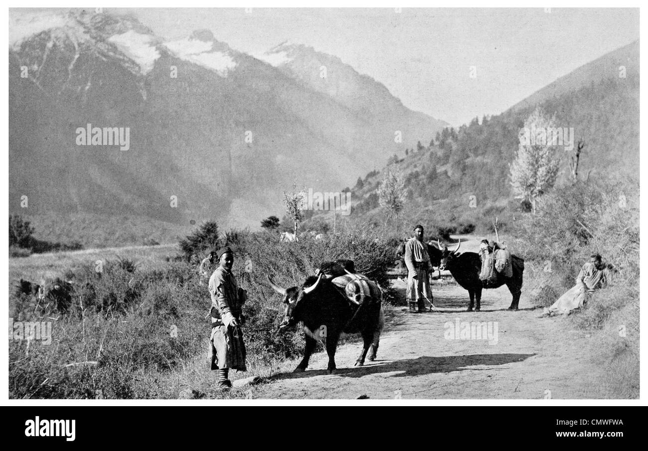 1925 Tibetan Transport Himalayas valley Stock Photo