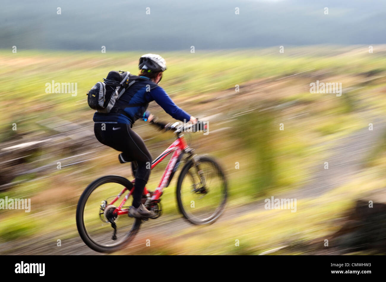 Mountain biking at Newcastleton, one of the 7Stanes centres in southern Scotland Stock Photo