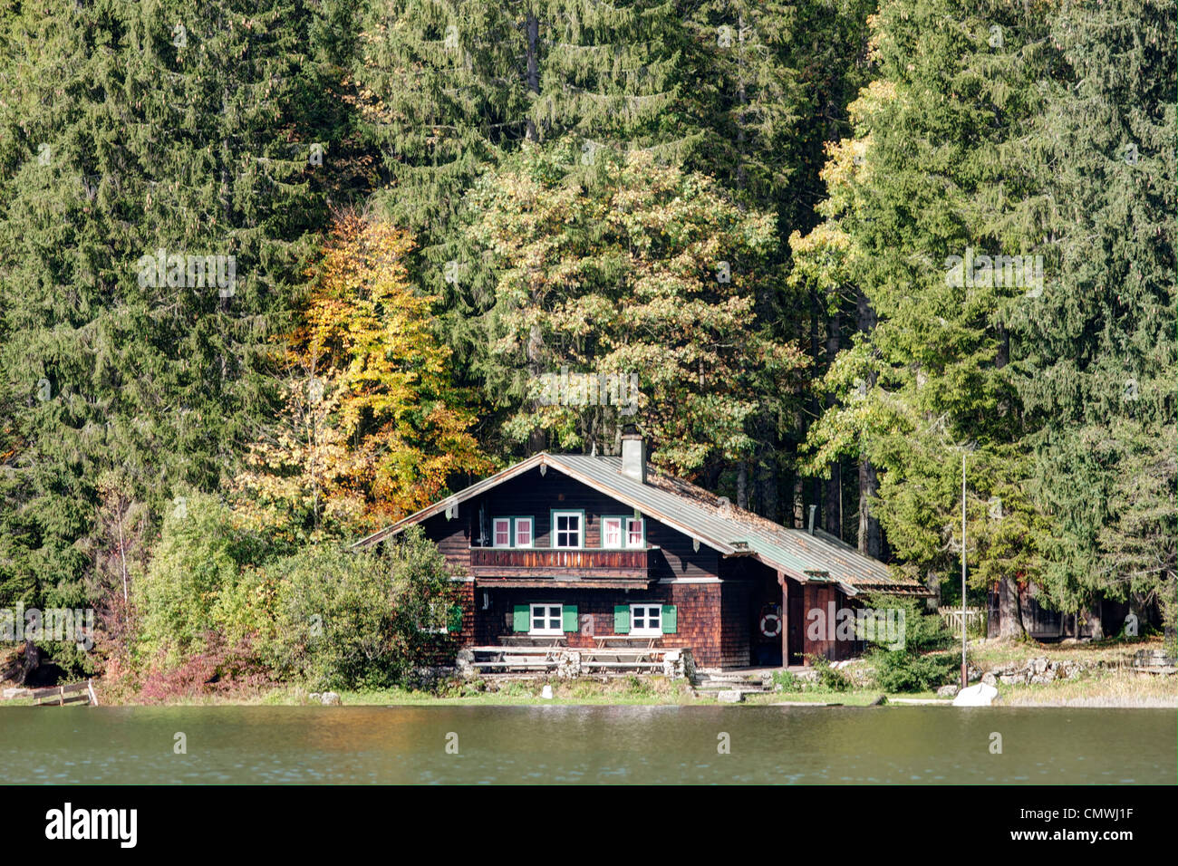 A wooden house within forest Stock Photo - Alamy