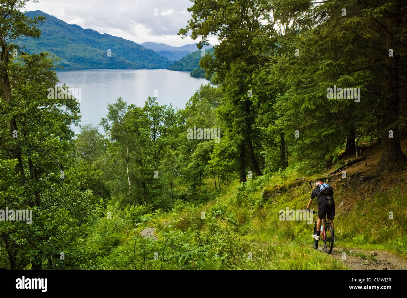Mountain biker on the the West Highland Way Scotland, descending above Loch Lomond Stock Photo