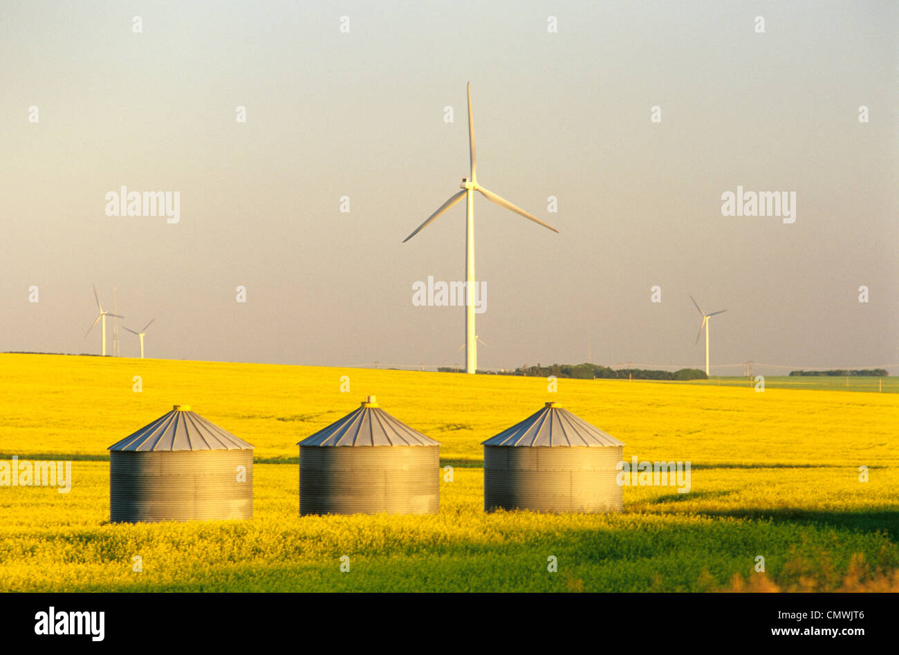 Artist's Choice: Grain Bins and Wind Turbines in Canola Field, near St. Leon, Manitoba Stock Photo