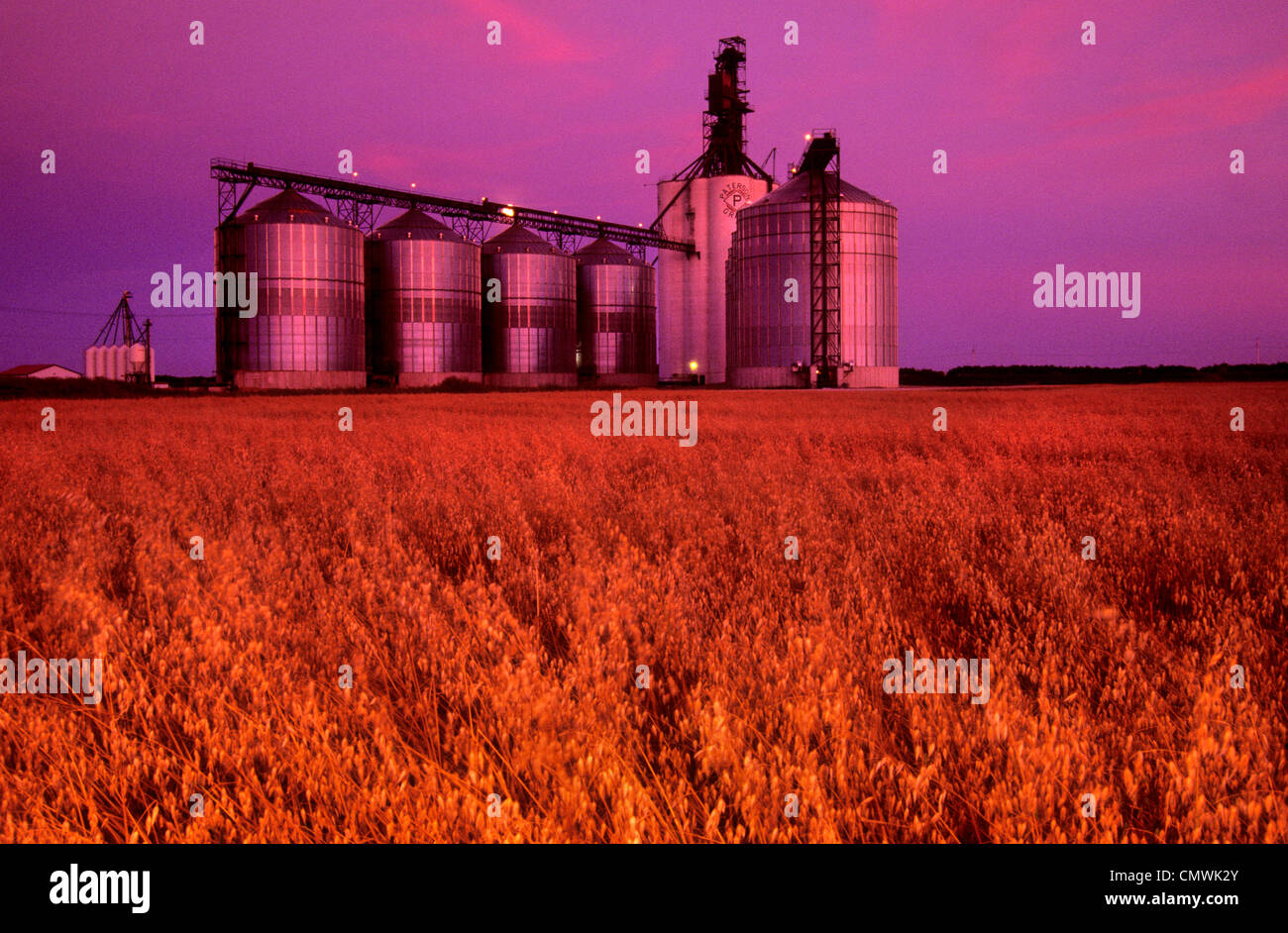 Inland Grain Terminal with Oat Field in the foreground, Morris, Manitoba Stock Photo